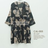 CAi-005 Outer Ceruti / Cerutty motif